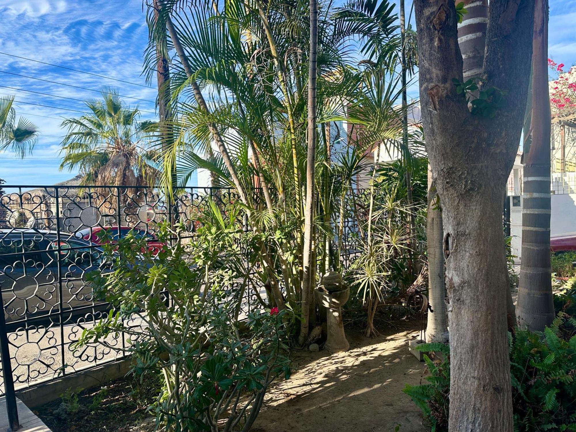 Casa Kismet Tu Destino En La Paz Suite 1 외부 사진